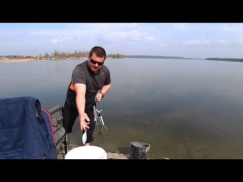 Видео: ЖОР белой рыбы / Старый Салтов дамба / 11 апреля 2019