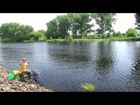 Видео: Чемпионат РБ по поплавку 2013.Первый этап.г.Пинск, р.Пина