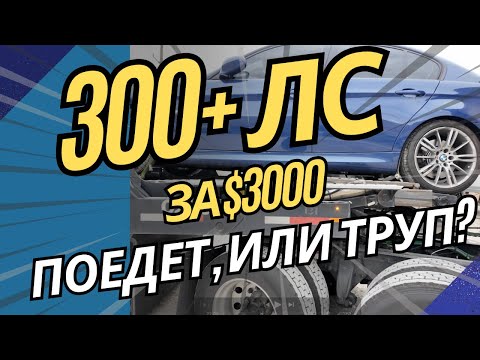 Видео: 300 лошадей за $3000, или стучащий мотор БМВ? Искал тачку на аукционе США почти год. Автовоз в США.