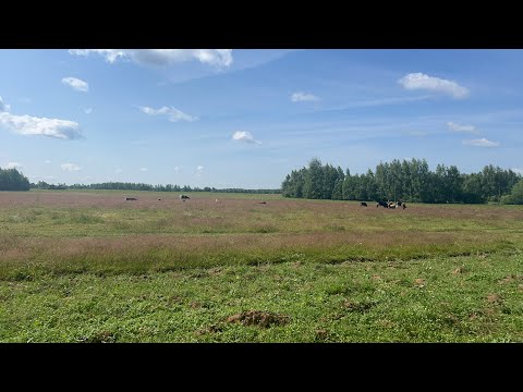 Видео: Бурение колодцев машиной Андреев Матвей в прямом эфире