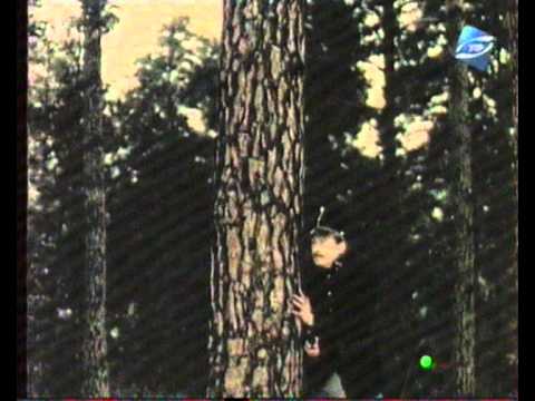 Видео: Час збирати каміння 05