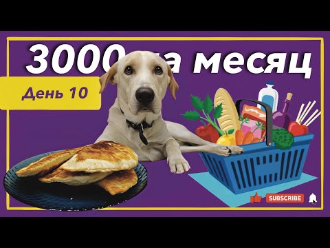 Видео: Выживаю месяц на 3000 рублей! День 10.