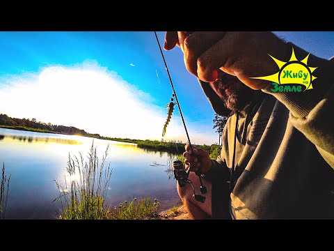 Видео: Рыбалка на Карьере. Легкие Снасти. Много Рыбы