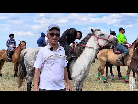 Видео: Өміржан әкеміздің 70 жас мерейтойы. Байдалы би ауылы. Жаппай көкпар