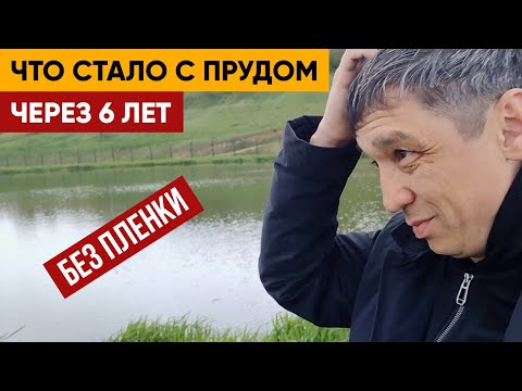 Видео: Без Пленки! Глиняный пруд.| Что стало с прудом из глины через 6 лет? Показываю этапы строительства.