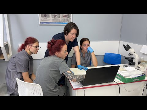Видео: Дуся, что сказали врачи после регена !!??