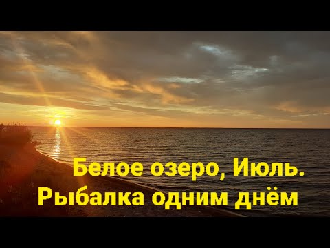 Видео: Июль,Белое озеро.Спонтанная Рыбалка. #Белое_озеро