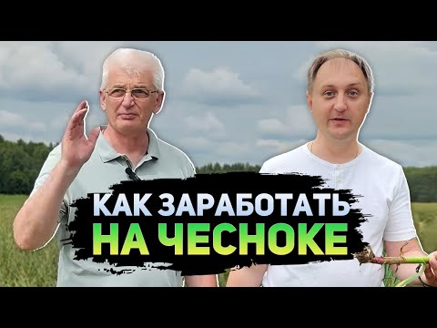 Видео: Выращивание ЧЕСНОКА | Все стадии от подготовки почвы до урожая