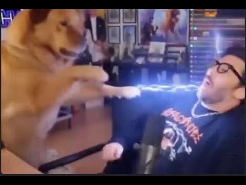 Видео: МЕРТВЕЦ ХОДЯЧИЙ