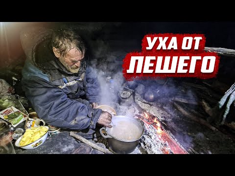 Видео: 20 лет в лесу. Последние новости отшельника | Оренбургская обл, Бузулук.