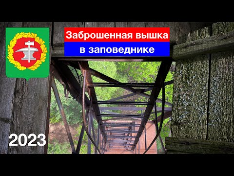 Видео: [4K] Заброшенная вышка в лесу, Кузнецкий район (1.05.2023)