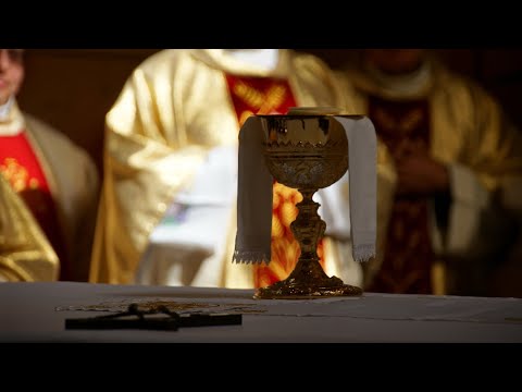 Видео: Святая Імша ва ўспамін усіх памерлых вернікаў. 11:00 | 02.11.2025