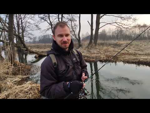 Видео: Как словить голавля на воблер "майский жук" от @chafer.37
