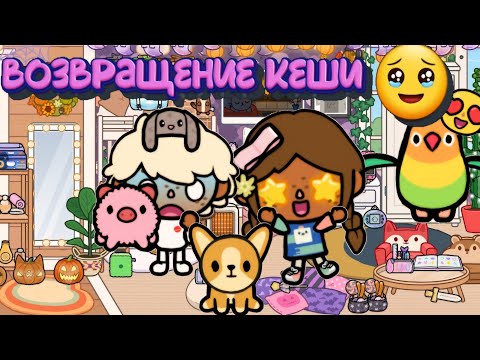 Видео: возвращение Кеши🥹😘 #tocaboca #токалайфворлд #тока #tocalifeworld #токабока #toca #tocabocaworldlife