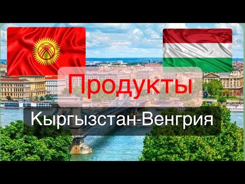 Видео: Венгрия жана Кыргызыстандын  азык-түлүктүн баасынын айырмасы