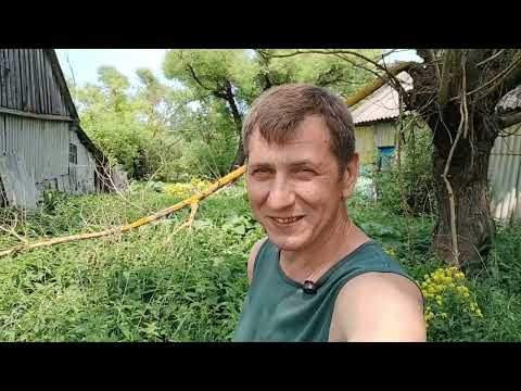 Видео: Лето. Начинаем осваивать новый деревенский участок.