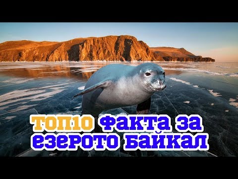Видео: Топ 10 Изумителни факти за езерото Байкал