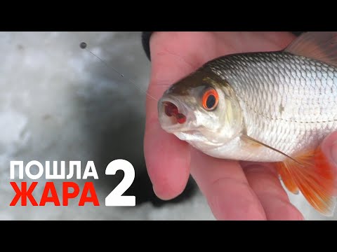 Видео: Поехали за лещем, а оторвались по плотве и окуням! Зимний поплавок и безмотылка - рулят! 2 Серия.