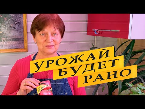 Видео: Сорта томатов для раннего урожая. Посев семян.
