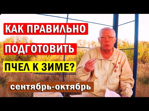 Видео: Как ПРАВИЛЬНО Подготовить пчел к Зиме? Когда начинать кормить пчел?