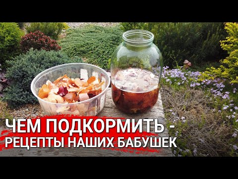 Видео: Чем подкормить - рецепты наших бабушек | Природные удобрения