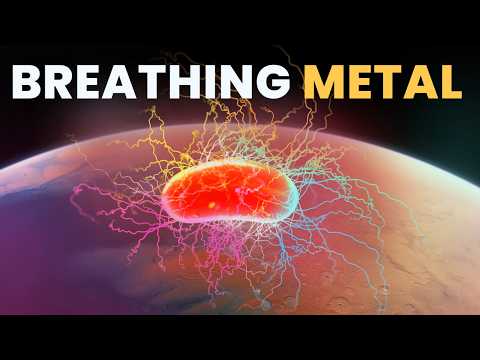 Видео: НЕВЕРОЯТНАЯ биология МЕТАЛЛОДЫШАЩИХ бактерий