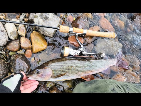 Видео: 👍 ТОП 3 блесен для малых рек!!!