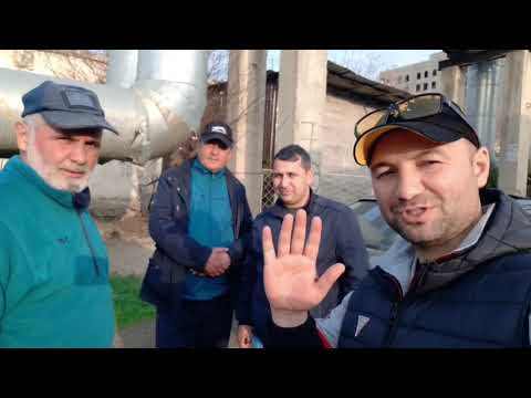 Видео: В гостях у акай Амир в городе Душанбе Таджикистан  черноносые Таджикские голуби 🕊️ 🇹🇯