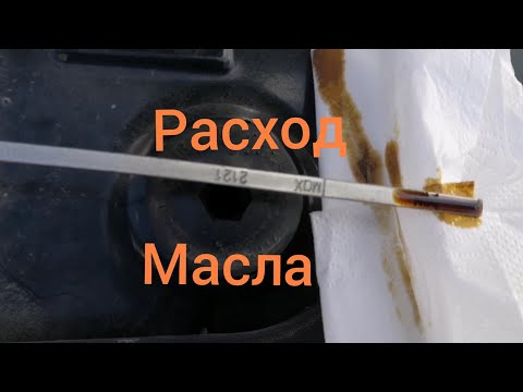 Видео: Нива Тревел /Расход масла #ниватревел #масло #новаянива