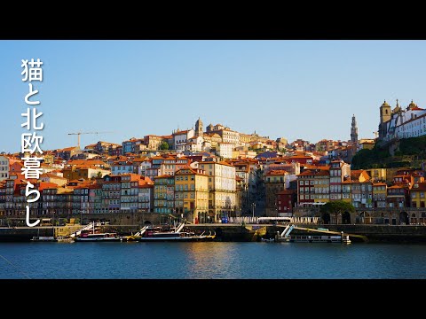 Видео: Летнее время исцеления в португальском портовом городе.🇵🇹