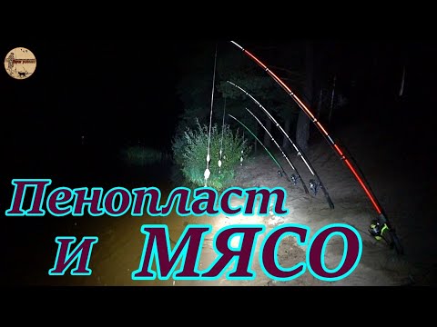 Видео: Рыбалка с ночёвкой. Рыба клюёт на мясо.