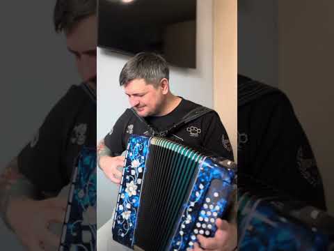 Видео: КАК ПРОЗВУЧИТ ЭТА ПЕСНЯ НА ГАРМОНИ? // М.Круг - Тишина