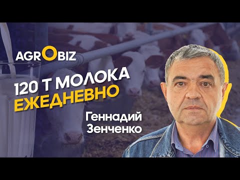 Видео: Как стать лидером по производству молока в Казахстане | Зенченко и Ко | AgroBiz