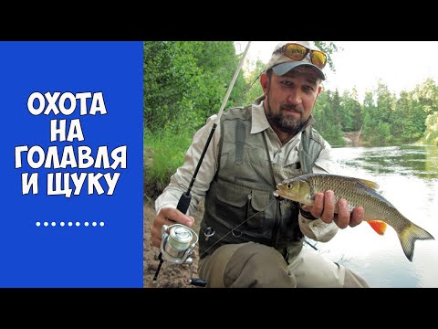 Видео: Ловля щуки и голавля на реке Керженец