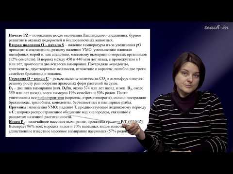 Видео: Лыгина Е. А. - Историческая геология. Краткий курс - 18.Закономерности геологического развития Земли