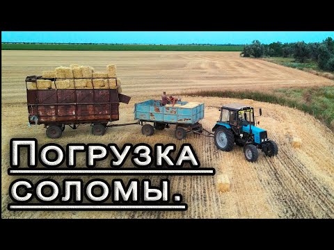 Видео: Погрузка тюков соломы ярового ячменя с поля!