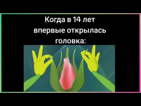 Видео: тикток открыл головку | подборка мемов