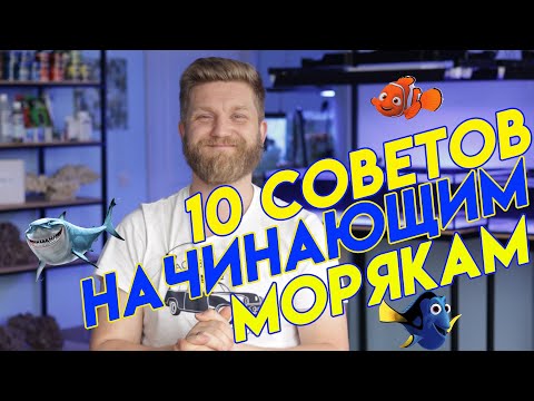 Видео: 10 советов начинающим морякам.