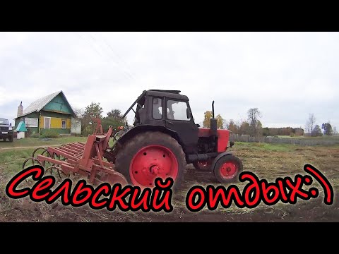 Видео: Сельский отдых // ПОКАТУШКИ на тракторе // МТЗ 80 // Приводим поле в порядок // Жизнь в деревне