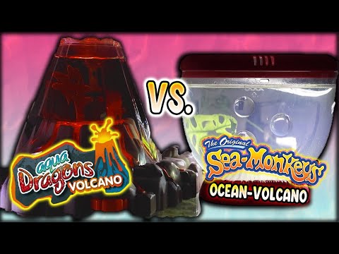 Видео: Вулкан Аквадраконс против вулкана Морские обезьяны (дни 1–30)