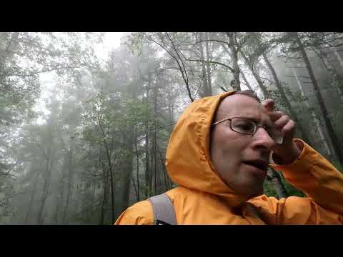 Видео: Байкал. Листвянка. Большие коты. Большая байкальская тропа. Часть 2.