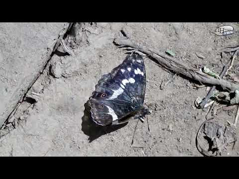 Видео: 05  ДОРОГАМИ ВЯТСКОЙ ИСТОРИИ 5