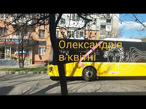 Видео: Олександрія квітне 🌸🌸🌸. Говорить Олександрія 3.04.24