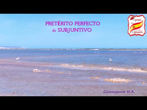 Видео: 112. Pretérito Perfecto de Subjuntivo + упражнение с ответами. Уровень В1-В2.