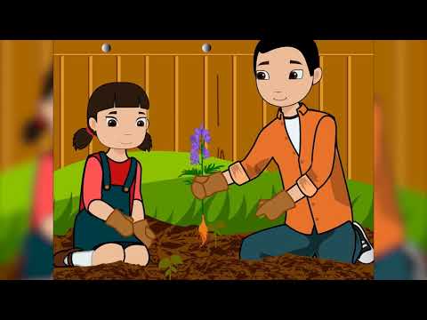 Видео: 1-сынып. Өсімдіктердің бөліктері