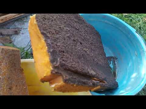Видео: Вытопка воска для " ленивых"