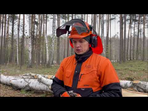 Видео: MS 361 пора на покой, MS362-CM мощнее и интересней. Обзор STIHL MS 362 CM.