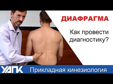 Видео: ДИАФРАГМА: 2 способа диагностики дисфункций