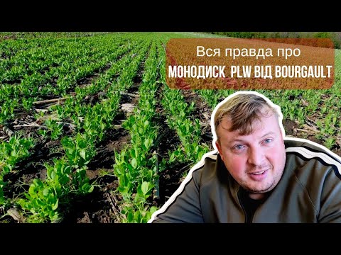 Видео: Відгук про сівалку Bourgault FMS CD 848 та монодиск PLW від Bourgault