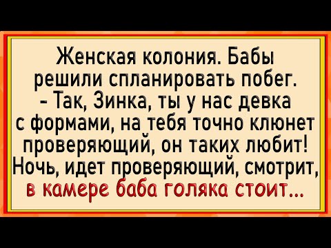 Видео: Как женщины в тюряге побег устроили! Сборник свежих анекдотов!